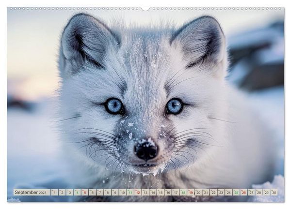Produktbild: Babys der Wildnis (Wandkalender 2027 DIN A2 quer), CALVENDO Monatskalender