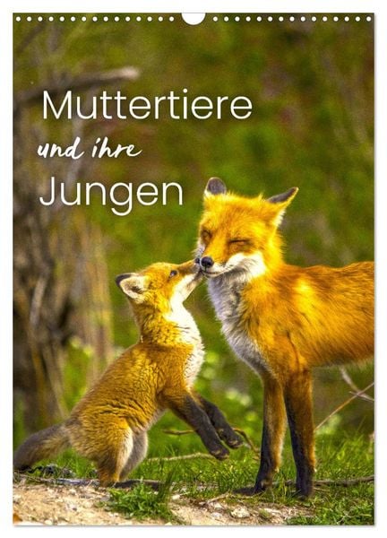 Produktbild: Muttertiere und ihre Jungen (Wandkalender 2026 DIN A3 hoch), CALVENDO Monatskalender