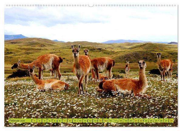 Produktbild: M&auml;rchenwelt Patagonien (hochwertiger Premium Wandkalender 2026 DIN A2 quer), Kunstdruck in Hochglanz
