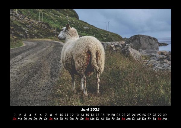 Produktbild: Welt der Tiere 2025 Fotokalender DIN A3