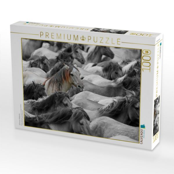 Produktbild: CALVENDO Puzzle D&uuml;lmener Wildpferde | 1000 Teile Lege-Gr&ouml;&szlig;e 64x48cm Foto-Puzzle f&uuml;r gl&uuml;ckliche Stunden