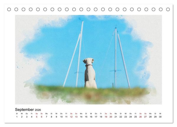 Produktbild: Ostsee Aquarelle (Tischkalender 2026 DIN A5 quer), CALVENDO Monatskalender