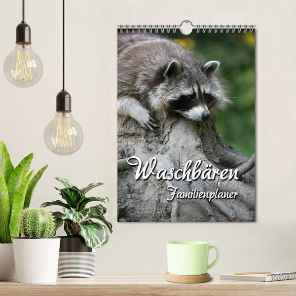 Produktbild: Waschb&auml;ren Familienplaner (Wandkalender 2026 DIN A4 hoch), CALVENDO Monatskalender