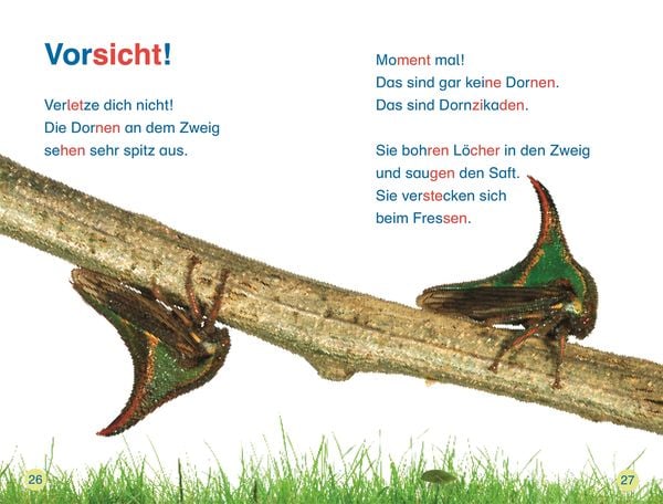 Produktbild: SUPERLESER! Insekten, top getarnt