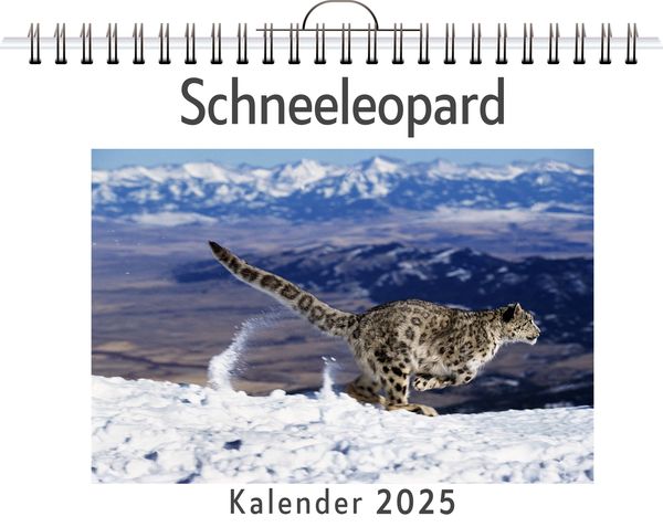 Produktbild: Schneeleopard