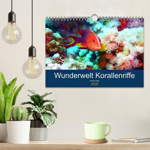 Produktbild: Wunderwelt Korallenriffe (Wandkalender 2026 DIN A4 quer), CALVENDO Monatskalender