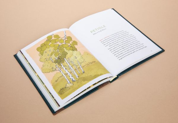 Produktbild: A Forest Language