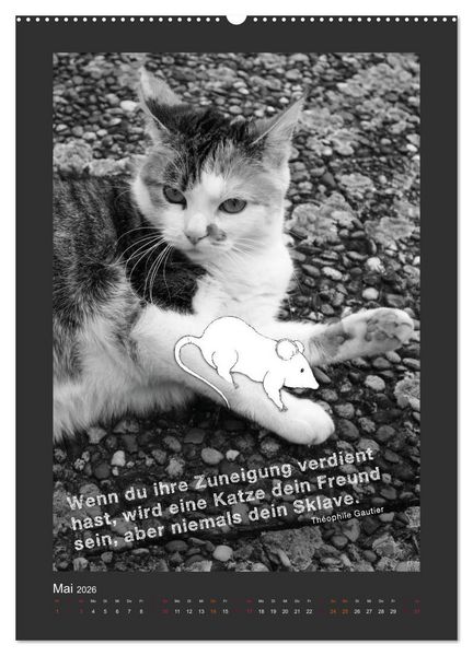 Produktbild: Katz & Maus (Wandkalender 2026 DIN A2 hoch), CALVENDO Monatskalender