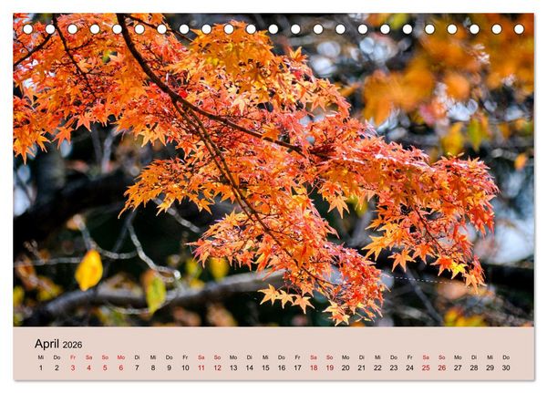Produktbild: Japan im Herbst (Tischkalender 2026 DIN A5 quer), CALVENDO Monatskalender