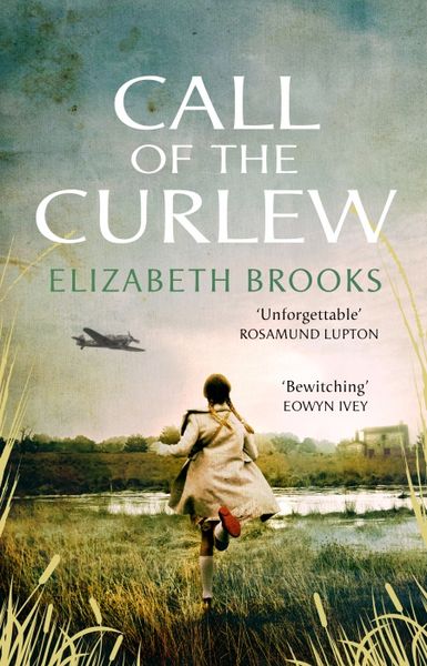 Produktbild: Call of the Curlew