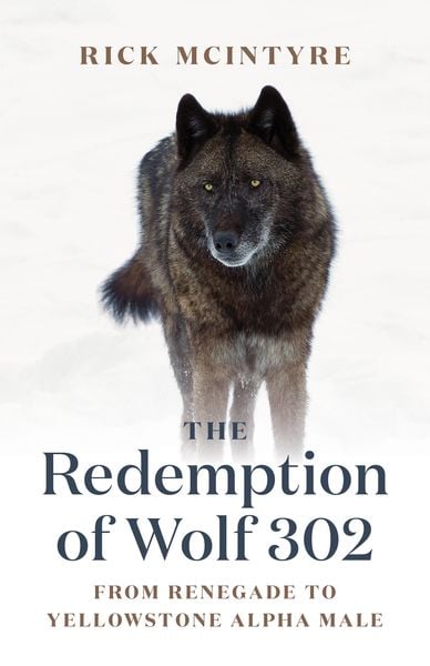 Produktbild: The Redemption of Wolf 302