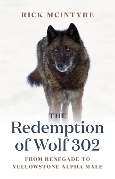 Produktbild: The Redemption of Wolf 302