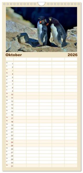 Produktbild: Familienplaner 2026 - Im Reich der Pinguine mit 5 Spalten (Wandkalender, 21 x 45 cm) CALVENDO
