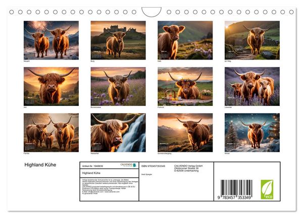 Produktbild: Highland K&uuml;he (Wandkalender 2026 DIN A4 quer), CALVENDO Monatskalender