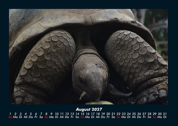 Produktbild: Schildkr&ouml;tenzauber 2027 Fotokalender DIN A4