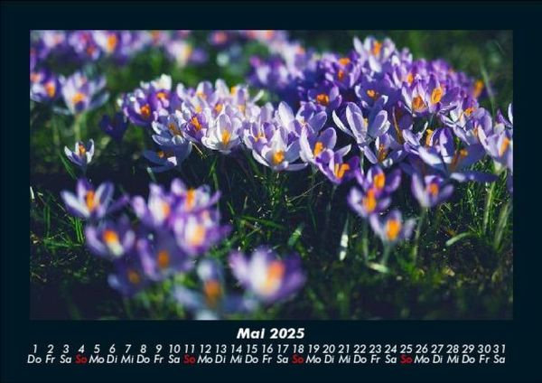 Produktbild: Blumentraum 2025 Fotokalender DIN A5
