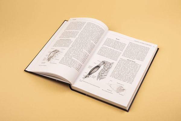 Produktbild: Musikergesundheit in der Praxis