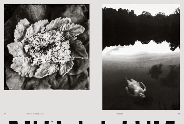Produktbild: Femxphotographers.org