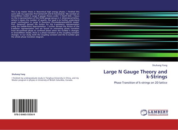 Produktbild: Large N Gauge Theory and k-Strings