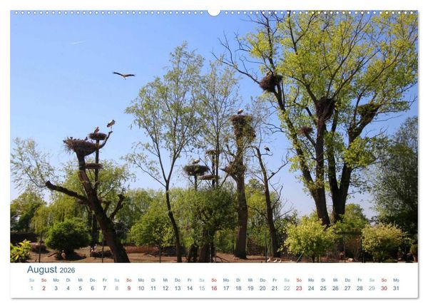 Produktbild: Berne 2026. Impressionen zwischen Weser und Hunte (Wandkalender 2026 DIN A2 quer), CALVENDO Monatskalender