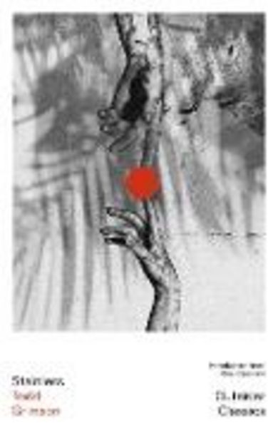 Stainless, Taschenbuch von Todd Grimson, Turnaround, 9781917792196