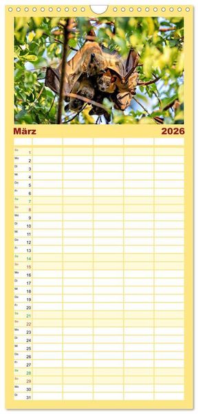 Produktbild: Familienplaner 2026 - Flughunde - Meister der Nacht mit 5 Spalten (Wandkalender, 21 x 45 cm) CALVENDO