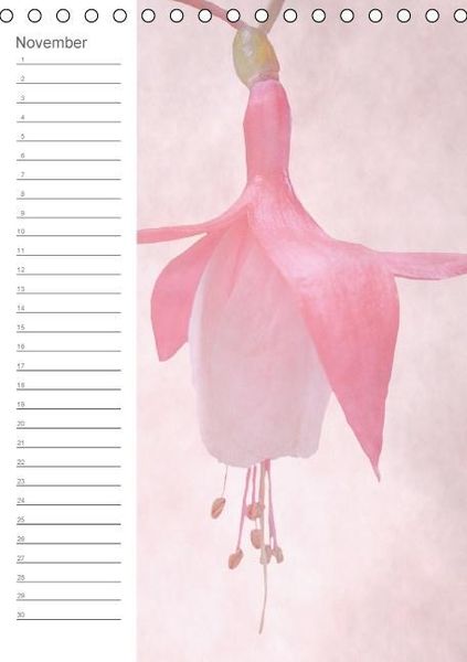 Produktbild: Zarte Bl&uuml;ten / Geburtstagskalender (Tischkalender immerw&auml;hrend DIN A5 hoch)