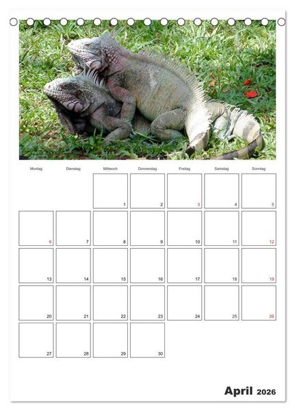 Produktbild: Venezuela - Land der Kontraste (Tischkalender 2026 DIN A5 hoch), CALVENDO Monatskalender