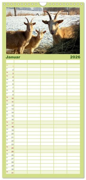 Produktbild: Familienplaner 2026 - Wer zickt denn da? Mit Ziegen durchs Jahr mit 5 Spalten (Wandkalender, 21 x 45 cm) CALVENDO