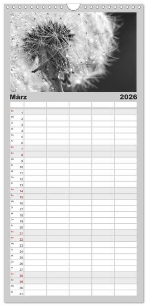 Produktbild: Familienplaner 2026 - Pusteblume - Impressionen in schwarzwei&szlig; mit 5 Spalten (Wandkalender, 21 x 45 cm) CALVENDO