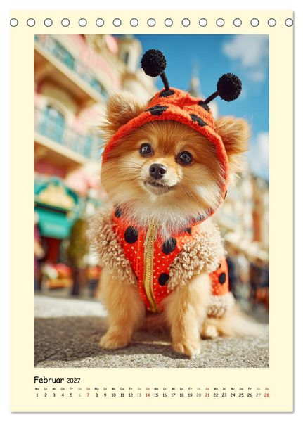 Produktbild: Der Pomeranian. Putziger Zwergspitz zum Verlieben (Tischkalender 2027 DIN A5 hoch), CALVENDO Monatskalender