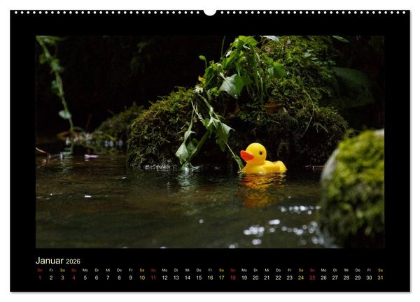 Produktbild: Enten-Rennen (hochwertiger Premium Wandkalender 2026 DIN A2 quer), Kunstdruck in Hochglanz