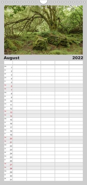 Produktbild: Familienplaner Foto-Momente S&uuml;d-England - Magische Orte (Wandkalender 2022 , 21 cm x 45 cm, hoch)