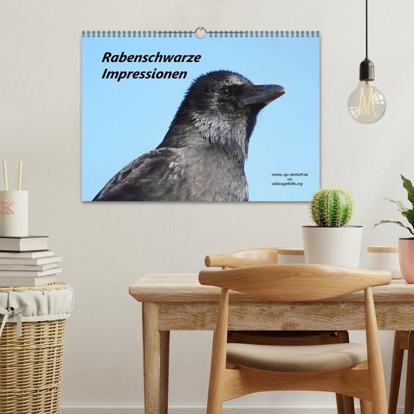 Produktbild: Rabenschwarze Impressionen - meike-ajo-dettlaff.de via wildvogelhlfe.org (Wandkalender 2026 DIN A3 quer), CALVENDO Monatskalender