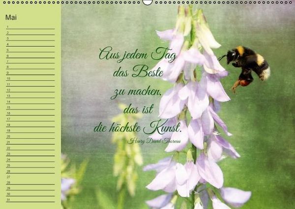 Produktbild: Spruchreifer Geburtstagskalender (Wandkalender immerw&auml;hrend DIN A2 quer)
