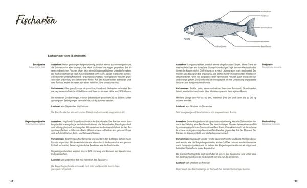 Produktbild: Fisch echt einfach