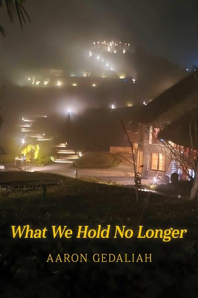Produktbild: What We Hold No Longer