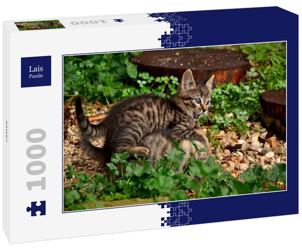 Produktbild: Lais Puzzle Katzen 1000 Teile