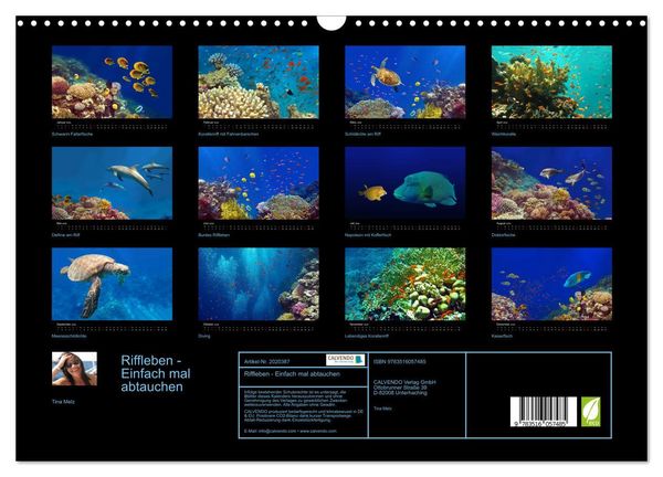 Produktbild: Riffleben - Einfach mal abtauchen (Wandkalender 2026 DIN A3 quer), CALVENDO Monatskalender