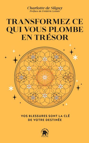 Produktbild: Transformez ce qui vous plombe en tr&eacute;sor