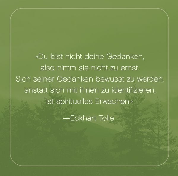 Produktbild: Die Jetzt-Box