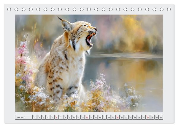 Produktbild: Luchse. Meister der Tarnung im Wald (Tischkalender 2027 DIN A5 quer), CALVENDO Monatskalender
