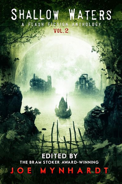 Produktbild: Shallow Waters Vol.2