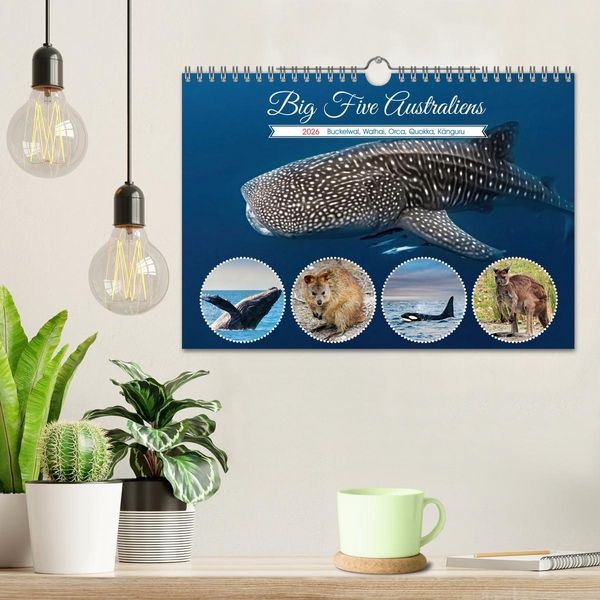 Produktbild: Big Five Australiens Buckelwal, Walhai, Orca, Quokka,K&auml;nguru (Wandkalender 2026 DIN A4 quer), CALVENDO Monatskalender