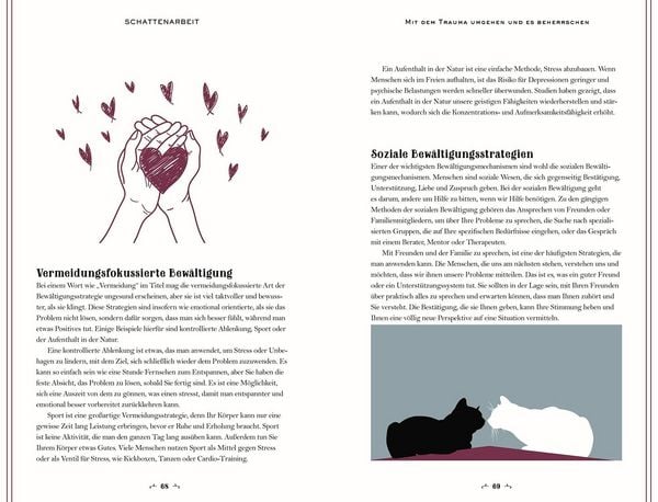 Produktbild: Schattenarbeit