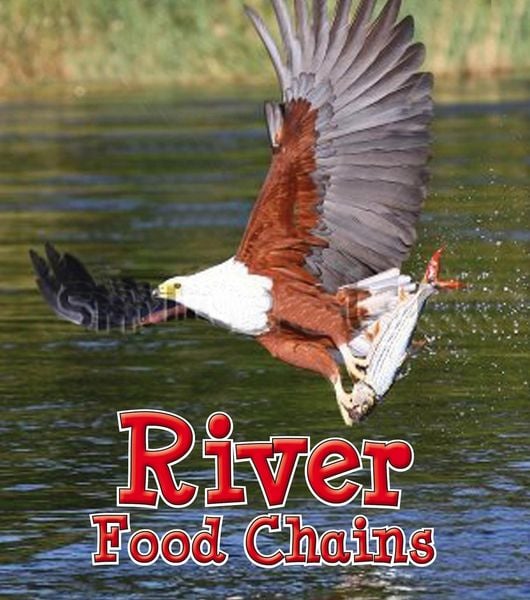 Produktbild: River Food Chains