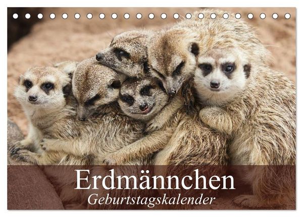 Erdmännchen (Tischkalender 2026 DIN A5 quer), CALVENDO Monatskalender