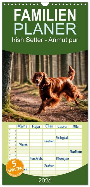 Produktbild: Familienplaner 2026 - Irish Setter - Anmut pur mit 5 Spalten (Wandkalender, 21 x 45 cm) CALVENDO