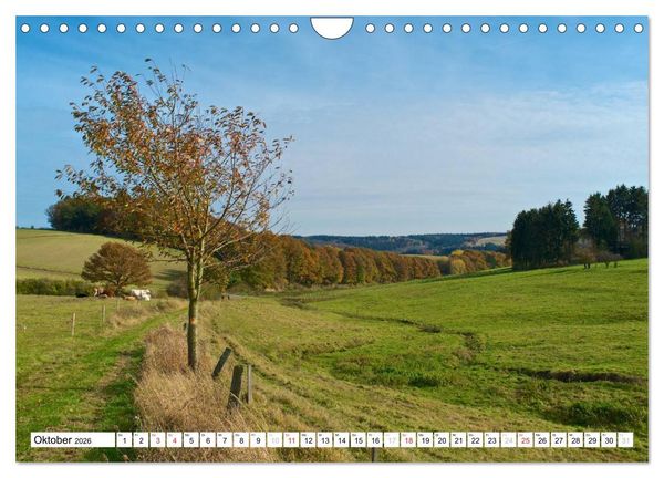 Produktbild: Traumhafte Wege durch die Eifel (Wandkalender 2026 DIN A4 quer), CALVENDO Monatskalender