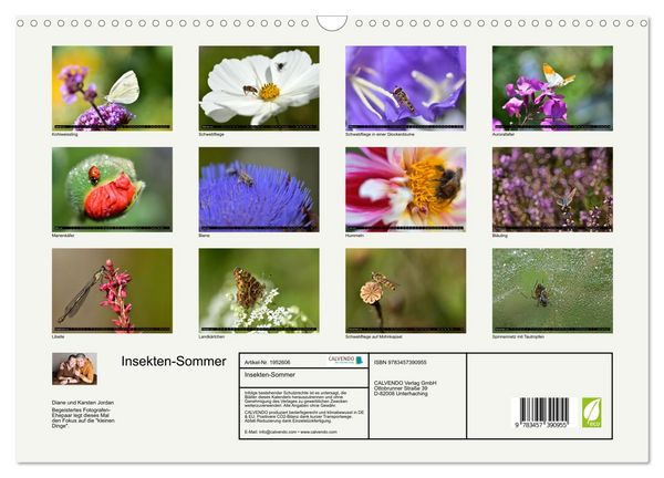 Produktbild: Insekten-Sommer (Wandkalender 2026 DIN A3 quer), CALVENDO Monatskalender